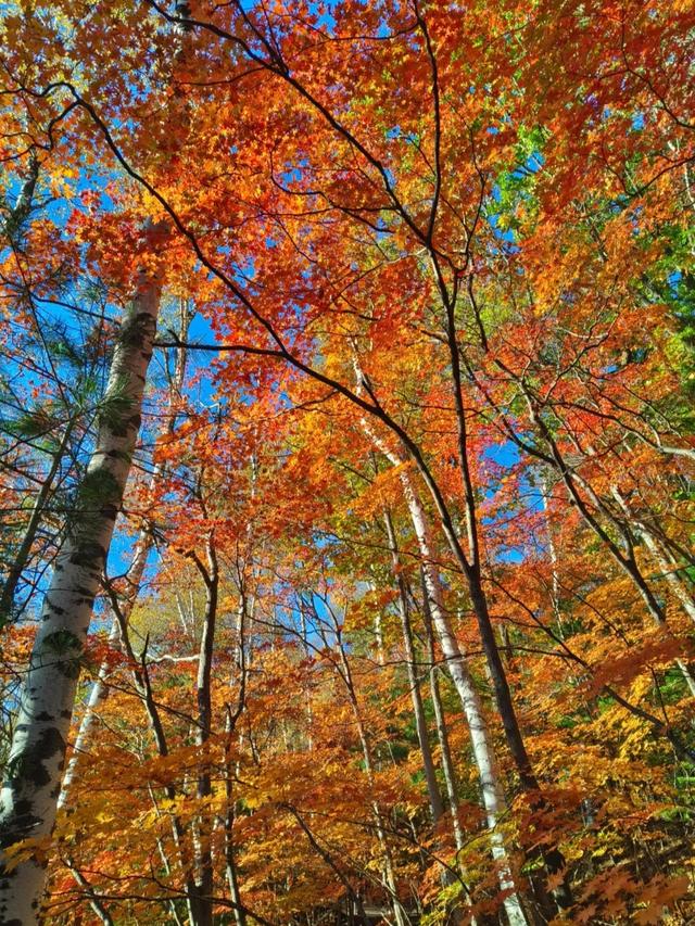 世界上只有中国吉林省敦化市才有的全球“独一无二的10大奇景”