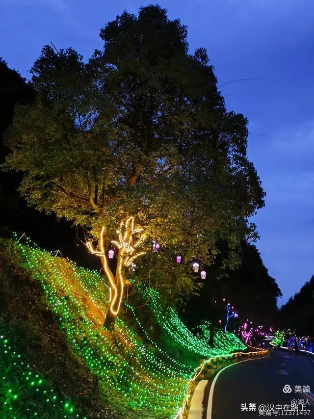 当光影遇上森林,汉中的夏夜如此动人清凉!