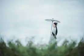 谷雨：你在三四月做的事，七八月自有答案图片