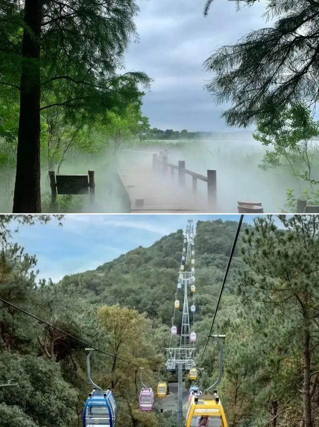 武汉东湖凉爽游玩路线|避暑拍照两不误的绿意天堂