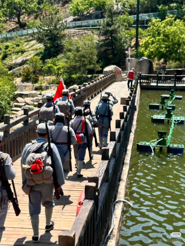 惊！临沂这处景点免门票，多省游客+刀郎演唱会观众可享