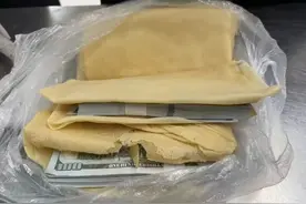 罗湖海关在两旅客行李中查获美元32.99万，折合人民币约238.7万图片