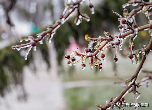 11月7立冬，今年立冬不一般，有2个特点与往年不同，3件事早准备