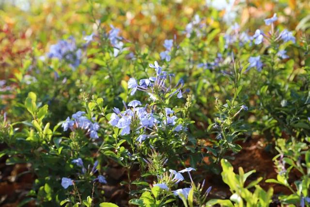 赣州又一个公园建成开放！