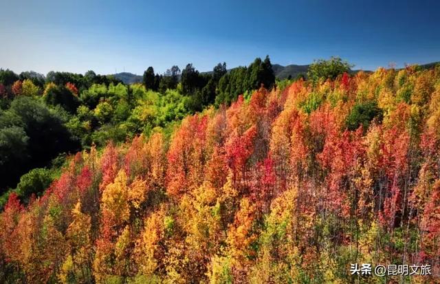 来一场短暂的城市逃离!盘龙这些登高好去处你知道吗?