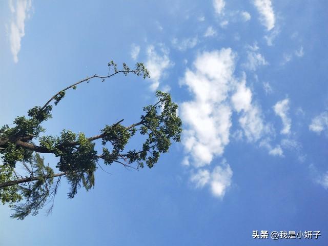 60岁以后，这四个人就不用再见面了，这是老祖宗的警告！