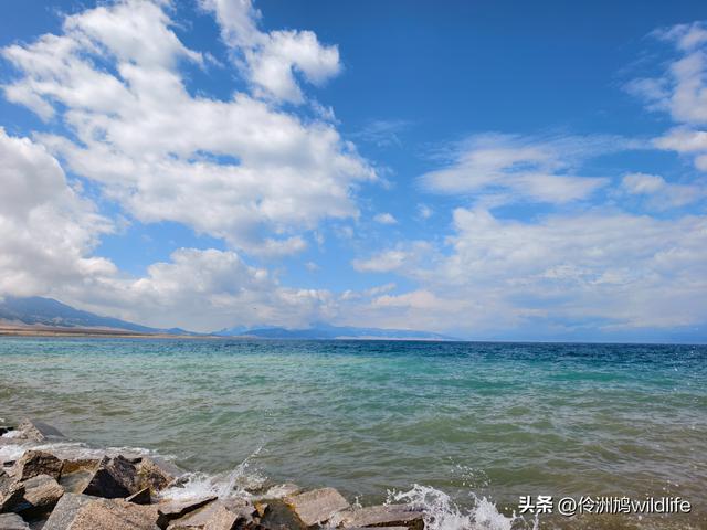 新疆明珠——赛里木湖