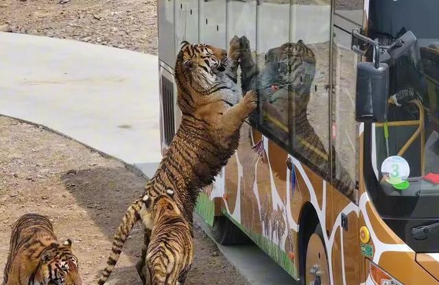 临沂人游临沂｜赶兰陵千年大集，赴一场烟火与诗意的约会