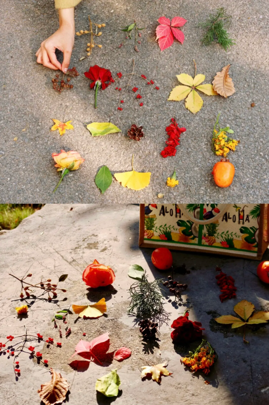 我捡，我捡，我在潍坊捡捡捡！