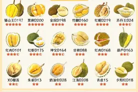 榴莲品种知多少，今天我们来分享一下榴莲的品种！特点图片