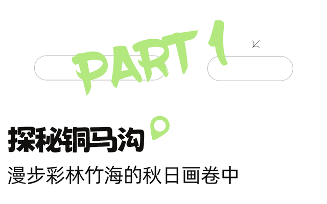 黄了！彩了！1h刹拢成都最近赏秋地，徒步拿奖牌、邂逅古寺银杏！老街美食好吃惨！