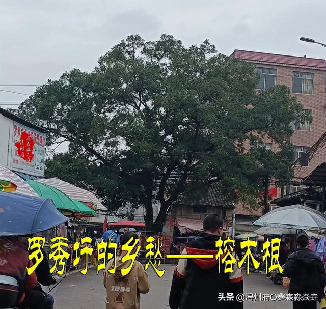 桂平人文：浔州抗日烽火——鬼子三侵罗秀，无功而返