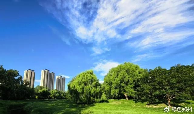 郑州“天空之城”治愈美景来啦