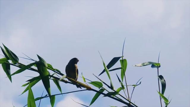 初秋的泌阳，变得更加多彩...
