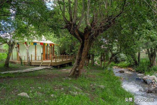 人间绝色！拉萨！拉萨！