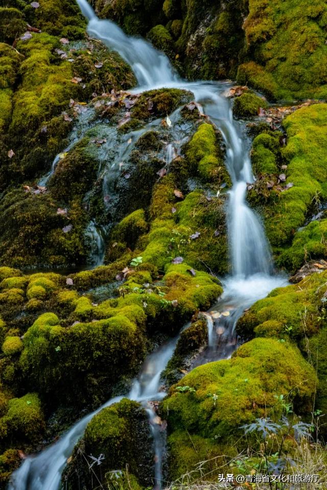秋色漫卷海东，一场山水林间的浪漫叙事
