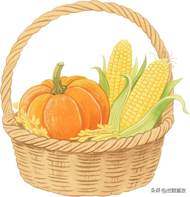 收藏！临沂三区九县赶大集全攻略，时间+地点一键get，烟火气拉满～