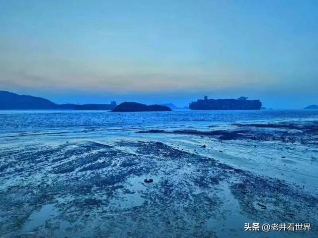 醉在桃花岛 文‖井明新