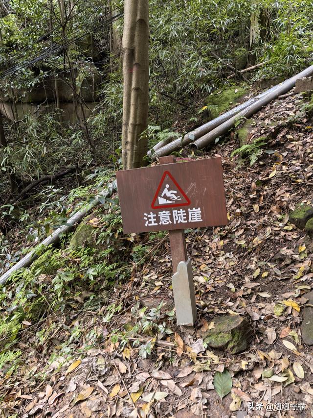 户外徒步之挑战缙云九峰，从健身梯道到狮子峰，走了四小时