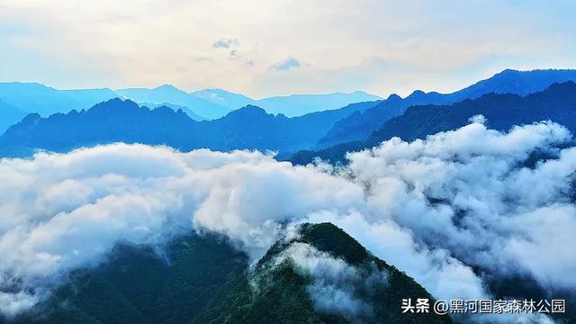 云海翻涌,薄雾缭绕,在黑河山间邂逅“山林仙境”