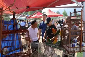 长安区开展野生鸟类公开贩卖整治执法宣传活动图片