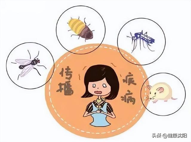 【假期出行 健康提醒】国庆出游，这份传染病防控指南请收好