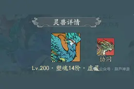 寻道大千：当前版本最强流派，鸾鸟玩到关服，内含寻道大千兑换码图片