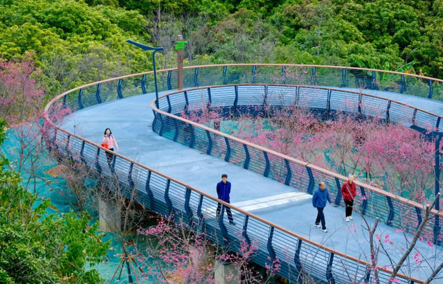 负氧离子爆表！绶溪荔林、郊野溪谷、莆阳福道，解锁莆田 “森” 呼吸新方式