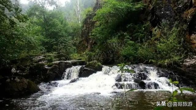 藏在北疆的翡翠：茅兰沟国家森林公园探幽