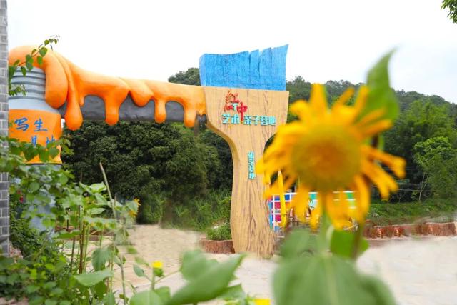 格桑花、紫花风铃木、雪白油茶花……肇庆这里太美了！