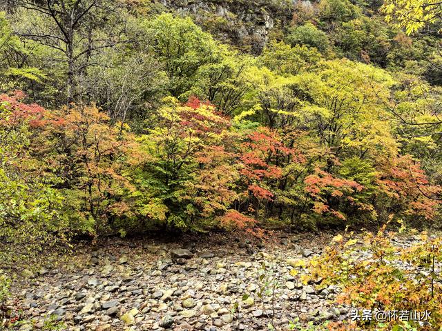 2025辽宁赏秋之旅日记(2)——游览丹东蒲石河森林公园