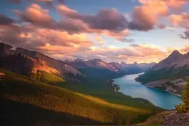 “慧”，根在人心，人人都有慧根图片