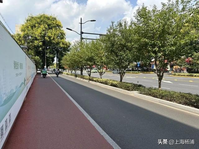 来杨浦“轧马路”！这条Citywalk路线藏不住了