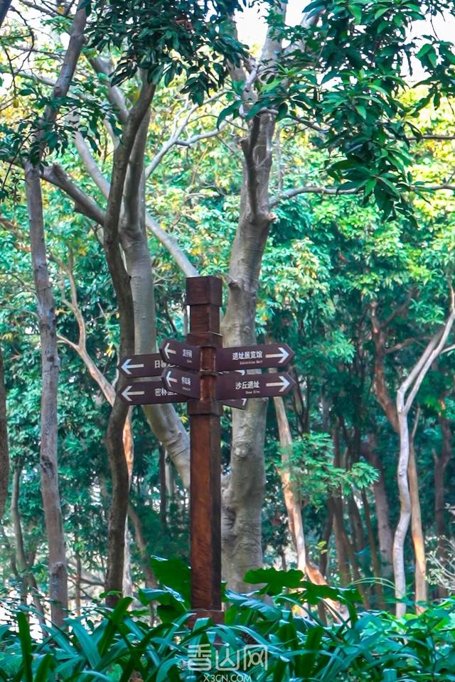 珠海5000年沙丘遗址秘境，免费开放！