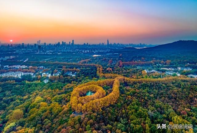 南京在大寒里突现“名场面”，据说都藏在这里，超值得玩。