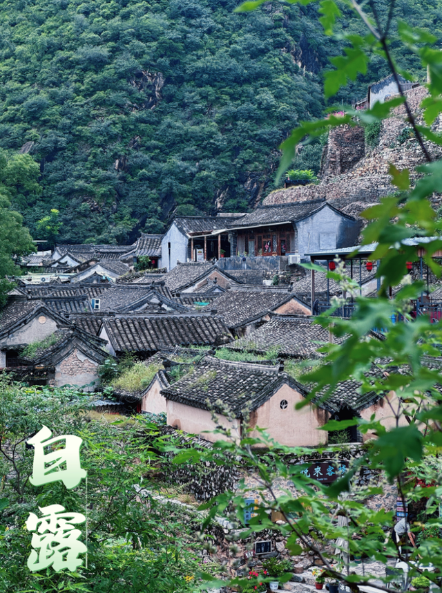 节气里的大美门头沟丨白露到，秋意浓！