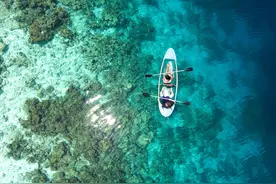 全球药企市值TOP50：11家中国药企入围；恒瑞跃升；百利天恒首进图片