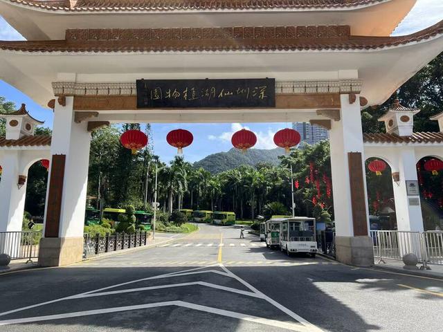 双节“趣”深圳：公园藏满限定玩法，不出深都有多样体验