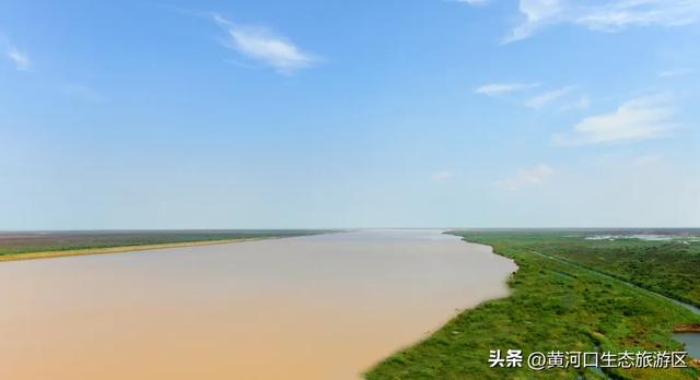【黄河口生态旅游区】今日入伏 出游温馨提示