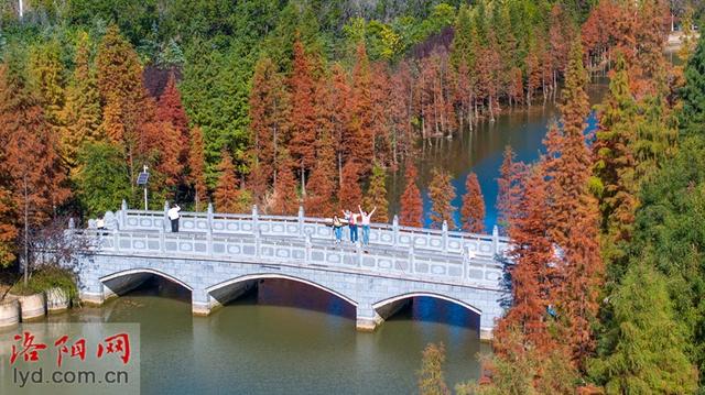 伊水游园冬景如画