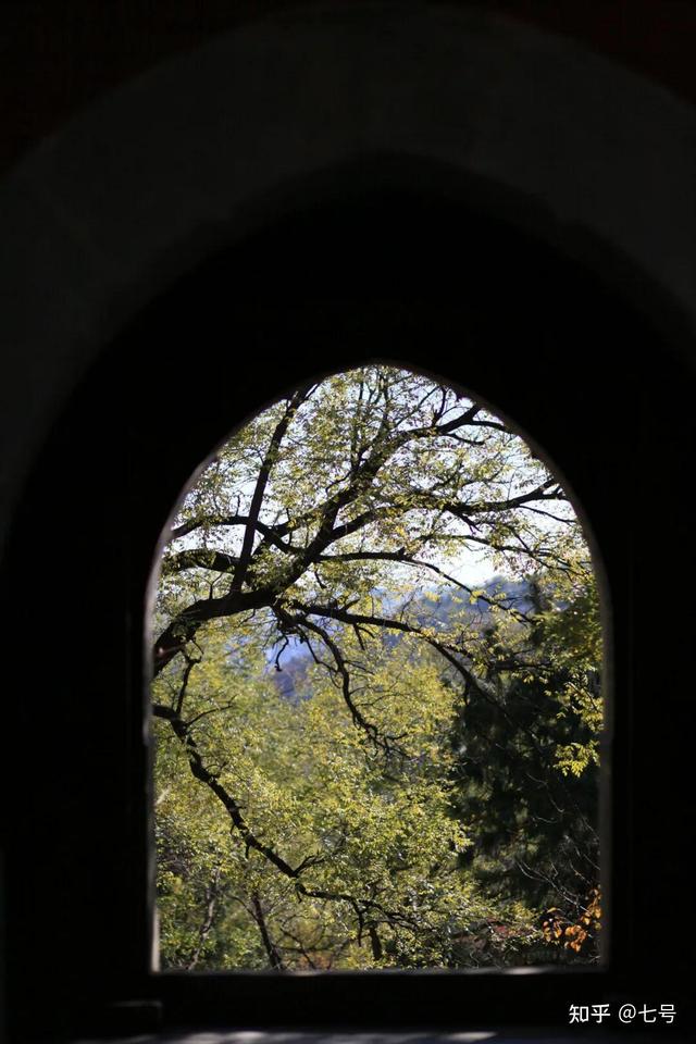 在八大处，寻到了北京最美的秋