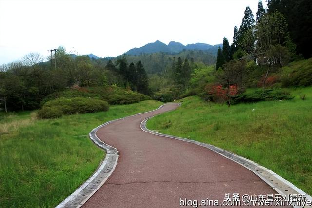 领袖峰及其它（江西之旅第八十五篇）