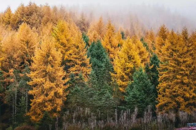 神木垒&达瓦更扎进入美貌开挂模式，请做好相关旅游准备！