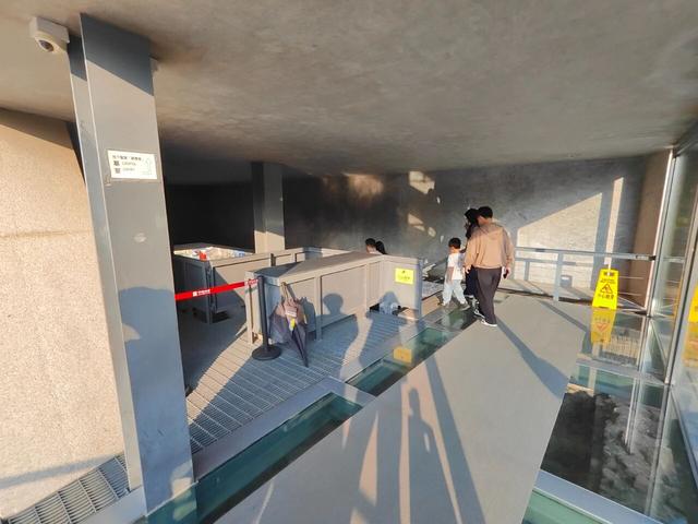 澳门马拉松：比较虐但值得去，濠江跑游全攻略