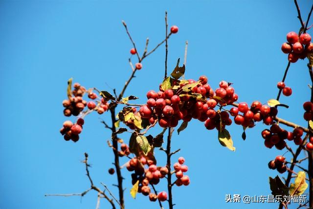 小区1号楼停电·徒步下楼·逛一圈的趣事