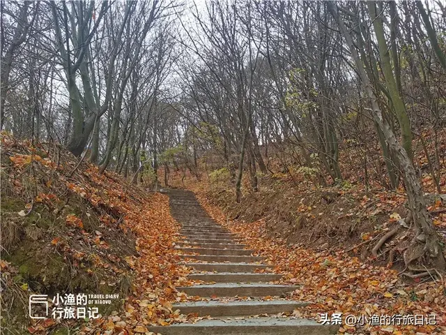 西安自驾2H，超惊艳赏秋路线推荐！红叶进入爆发期，路好景美人少