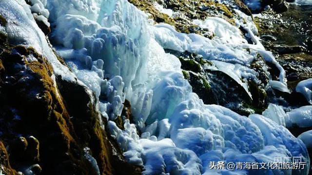 青海的冬天有多美？风裹着雪吻过河流，阳光在雪山尖写满温柔