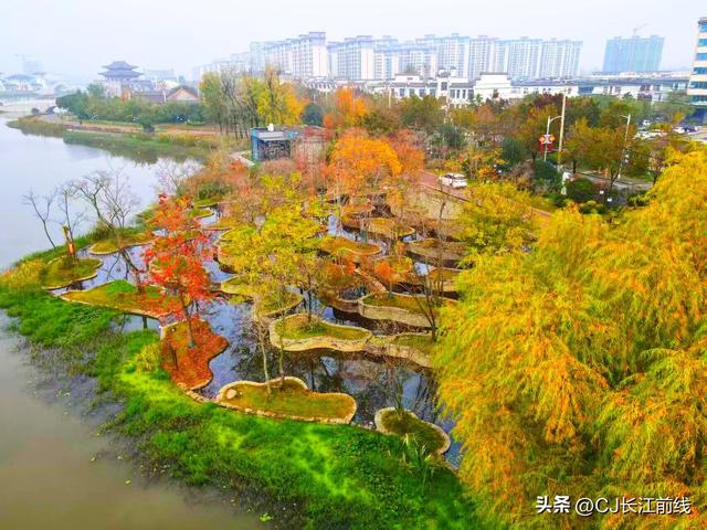 河南淮滨：初冬文化园更艳丽