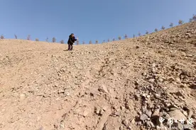 甘谷县自然资源局开展图斑整治工作图片