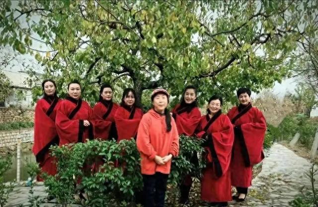 九仙山上子贡茶